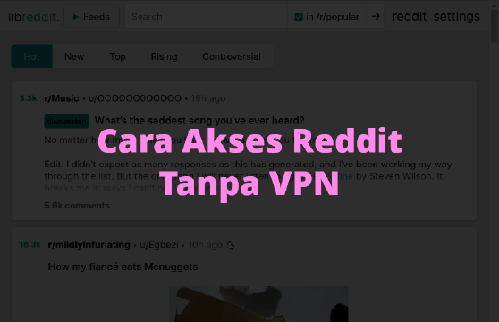 Accessing Reddit Without VPN Using Libreddit