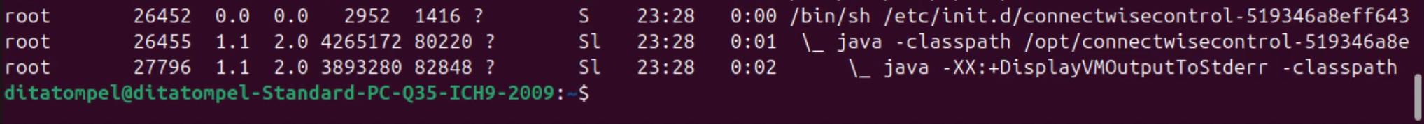 ps command output