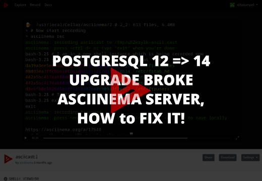 Rescue broken asciinema-server upgrade (PostgreSQL 12 => 14)