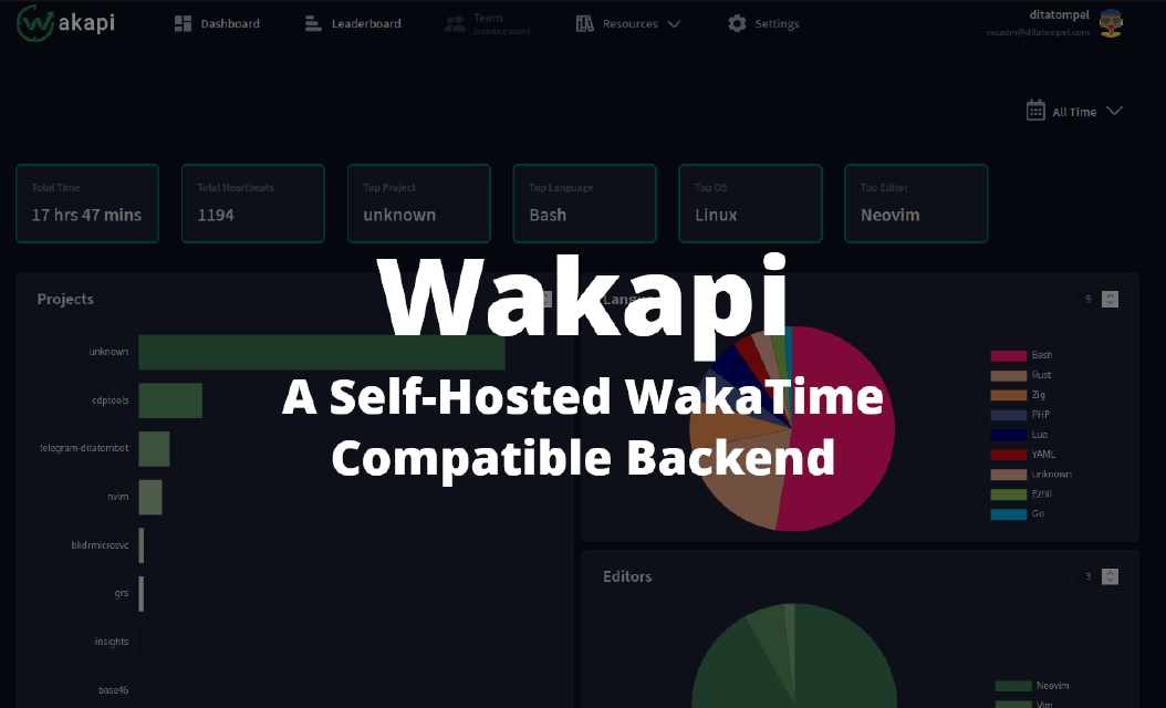 Running Wakapi, a Self-Hosted WakaTime Compatible Backend for Coding Stats